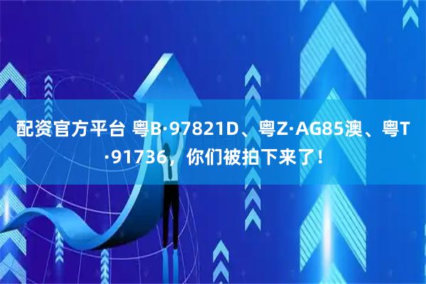 配资官方平台 粤B·97821D、粤Z·AG85澳、粤T·91736，你们被拍下来了！