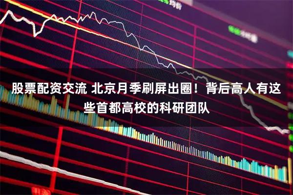 股票配资交流 北京月季刷屏出圈！背后高人有这些首都高校的科研团队